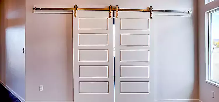 Glass Barn Door with Installation Hardware Kit Germantown