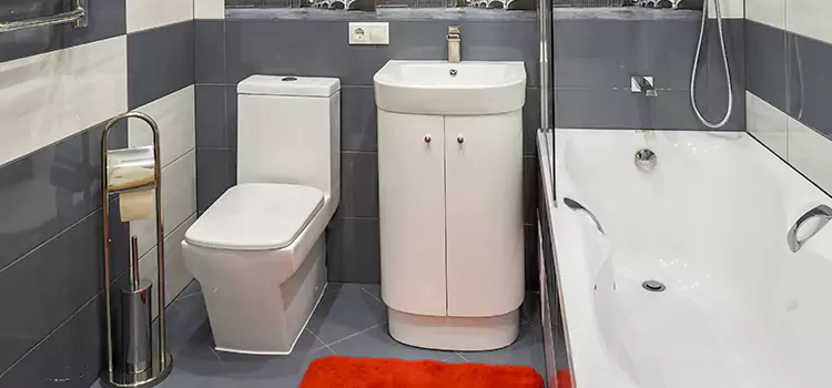 Hansgrohe Shaving Mirror Germantown